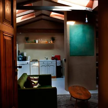 Caly 비드고슈치